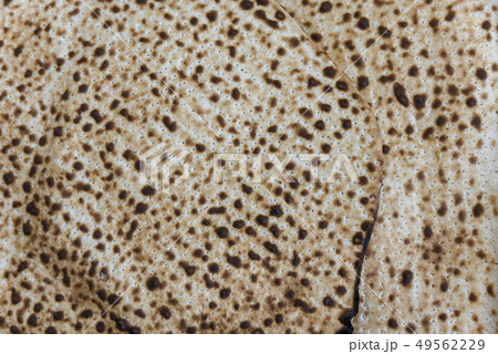 background of matzo on pesah Jewish holiday 49562229