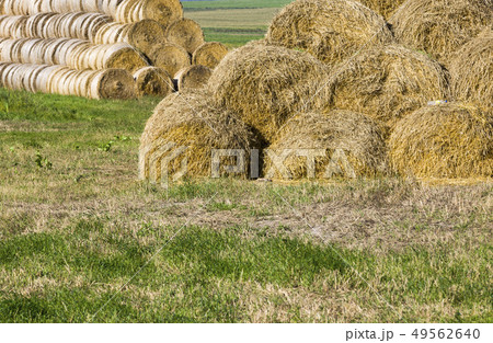 stack of straw stack of straw 49562640