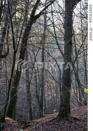 autumn season 49562668