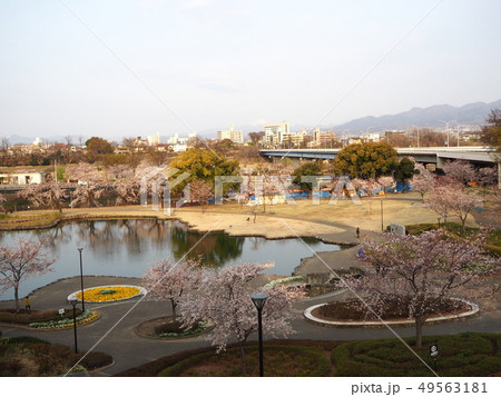 前橋公園 前橋公園 49563181