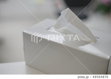 ティッシュペーパー　 49564870