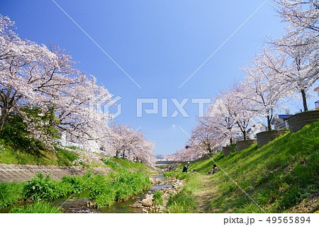 川辺・春うらら・佐保６ 49565894