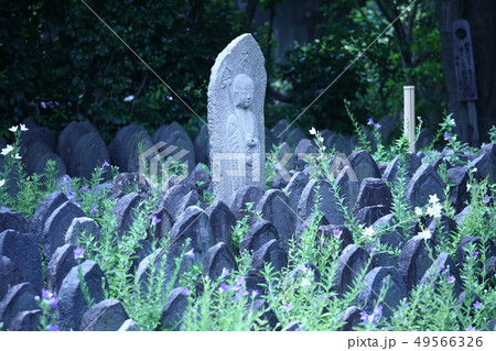 石仏・元興寺【奈良県奈良市】 49566326