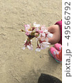 さくらあっぷ 49566792