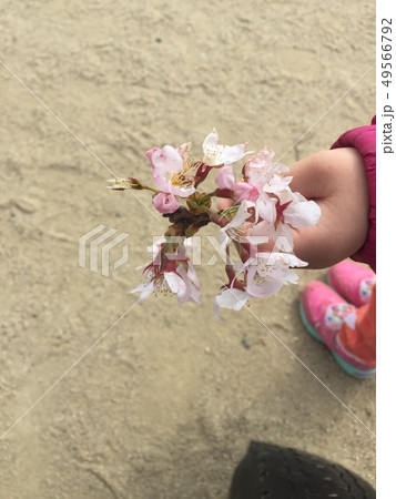 さくらあっぷ さくらあっぷ 49566792