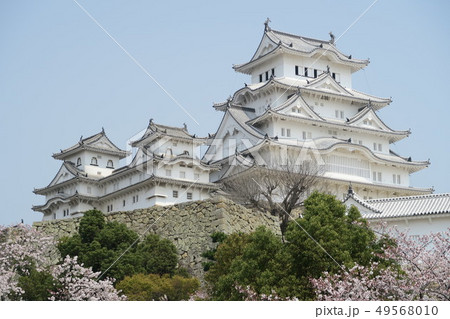姫路城の桜 姫路城の桜 49568010