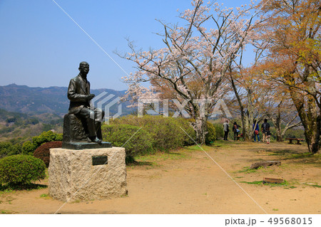 竹田市　春　桜咲く岡城址 49568015