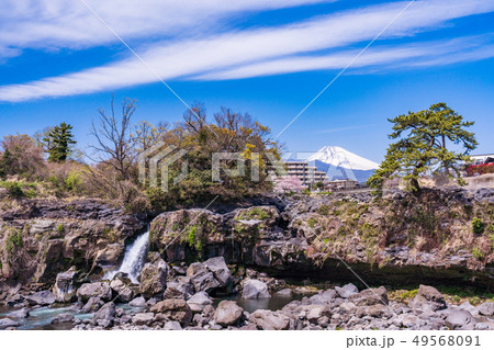 (静岡県)長泉町の鮎壺の滝 桜の季節 (静岡県)長泉町の鮎壺の滝 桜の季節 49568091