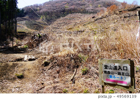 焼森山ー鶏足山 新ルート登山道入り口 焼森山ー鶏足山 新ルート登山道入り口 49569139