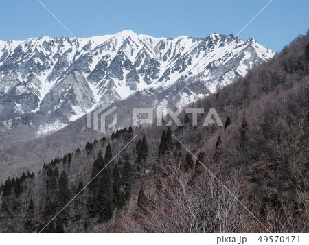 鍵掛峠から見る春の大山の眺望　大山南壁　大山 49570471