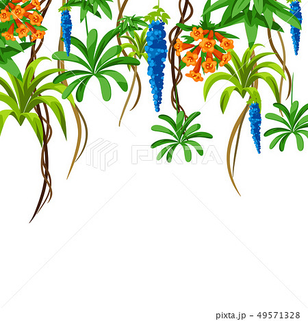 Twisted wild lianas branches background. Jungle vines plants. Twisted wild lianas branches background. Jungle vines plants. 49571328