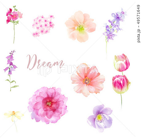 透明水彩 水彩画 花のイラスト素材