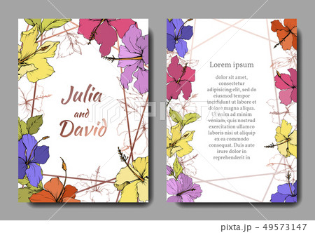 Vector Hibiscus floral botanical flower. Engraved ink art. Wedding background card floral decorative Vector Hibiscus floral botanical flower. Engraved ink art. Wedding background card floral decorative 49573147