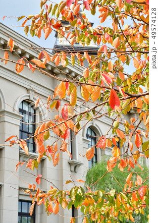 紅葉のみなとぴあ（新潟県） 49574128