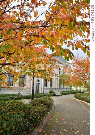 紅葉のみなとぴあ(新潟県) 紅葉のみなとぴあ(新潟県) 49574129