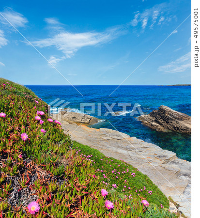 Atlantic blossoming coastline (Spain). 49575001