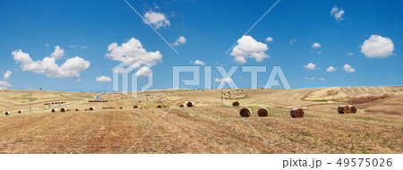 Sicily summer agriculture countryside, Italy. 49575026