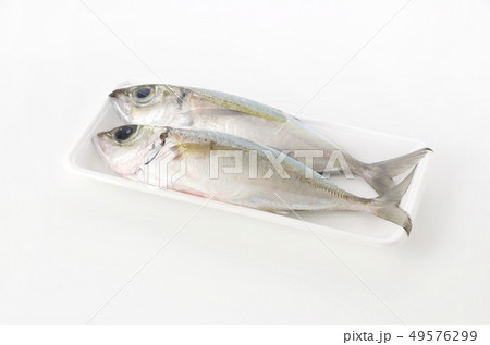 メアジ、トッパク、ガチュン (パック入り) メアジ、トッパク、ガチュン (パック入り) 49576299