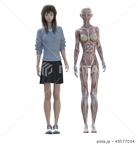 ニットを着た若い女性 perming3DCGイラスト素材 ニットを着た若い女性 perming3DCGイラスト素材 49577034