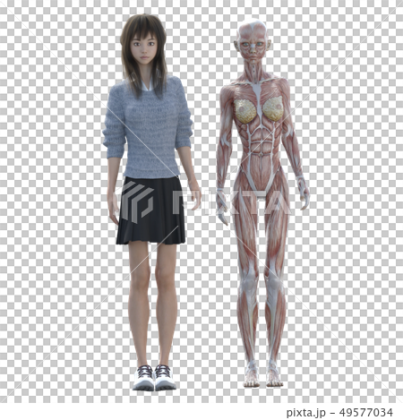 ニットを着た若い女性 perming3DCGイラスト素材 ニットを着た若い女性 perming3DCGイラスト素材 49577034