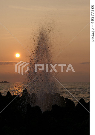 気仙沼市岩井崎の潮吹き岩 49577236