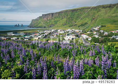 Beautiful town of Vik i Myrdal Iceland in summer. Beautiful town of Vik i Myrdal Iceland in summer. 49578263