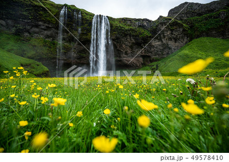 Magical Seljalandsfoss Waterfall in Iceland. Magical Seljalandsfoss Waterfall in Iceland. 49578410