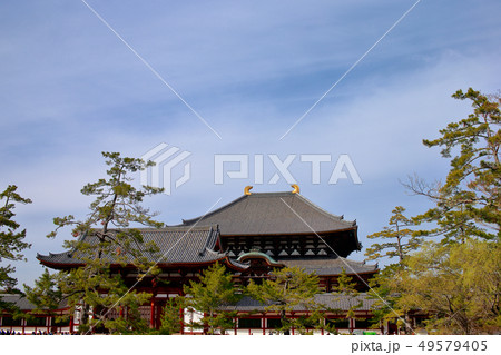 東大寺 東大寺 49579405