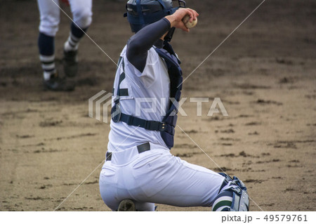 返球するブルペン捕手 返球するブルペン捕手 49579761