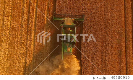 Combine harvester and golden field. Combine harvester and golden field. 49580919