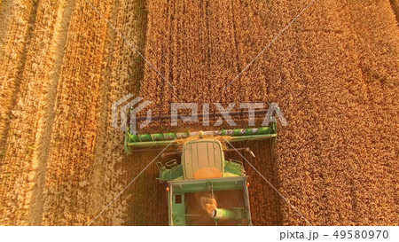 Combine cutting wheat. 49580970