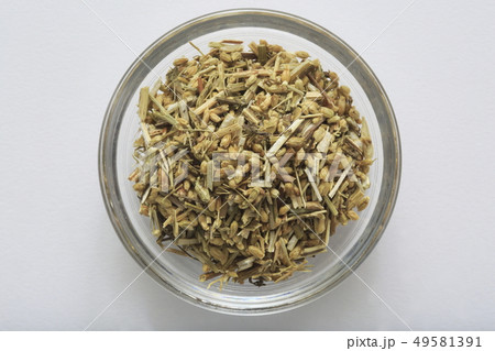 (ハーブ)　ヤロウ　和名：セイヨウノコギリソウ 49581391