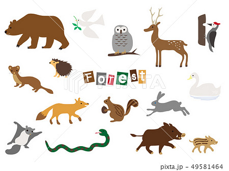 シンプルな動物のセット 森のどうぶつたちのイラスト素材