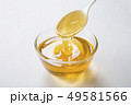 流れ落ちる蜂蜜 49581566