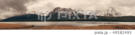 Bow Lake 49582493