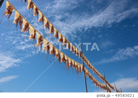 風景 観光 風 49583021