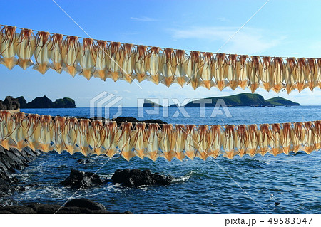 風景 観光 風 49583047