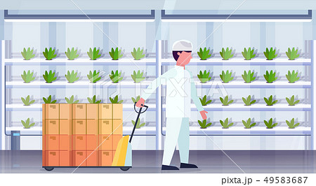 man agriculture engineer in uniform carrying pallet truck with cardboard boxes modern organic 49583687