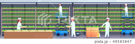 agriculture engineers in uniform carrying pallet truck holding potted plants people working modern 49583847