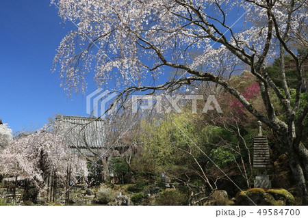 竹林院　群芳園 49584700