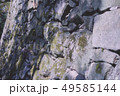 石垣 49585144