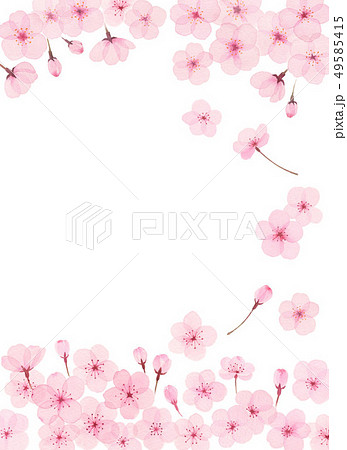 桜 春 ピンクの花のイラスト素材