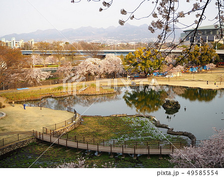 前橋公園 前橋公園 49585554