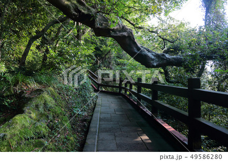 風景 観光 風 49586280