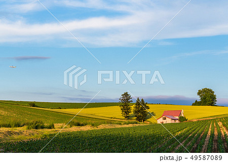 《北海道》夏の美瑛・赤い屋根の家と田園風景 《北海道》夏の美瑛・赤い屋根の家と田園風景 49587089