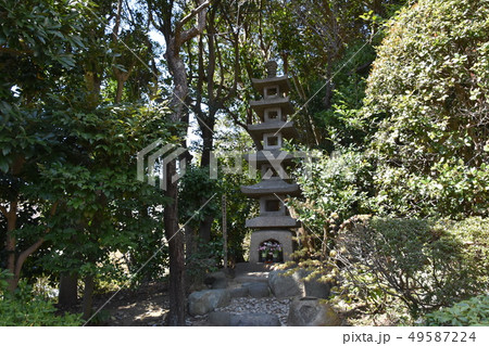 大船観音　鎌倉市 49587224