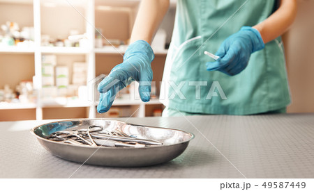 Choosing right tool. Vet hands in protective gloves taking metal tools for work with patient in the Choosing right tool. Vet hands in protective gloves taking metal tools for work with patient in the 49587449