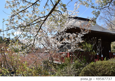 大船観音　慈光堂　鎌倉市 49587737