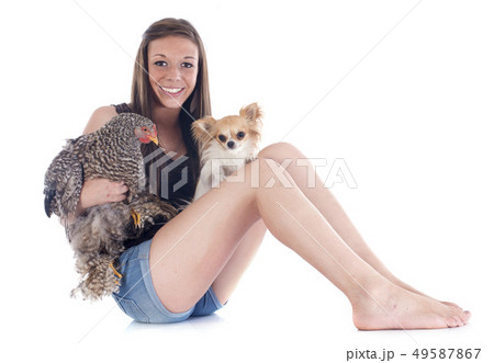 girl, chihuahua and chicken 49587867