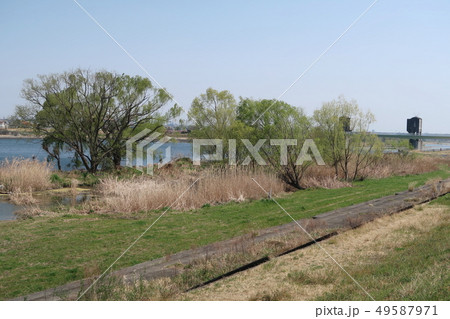 多摩川風景 多摩川風景 49587971